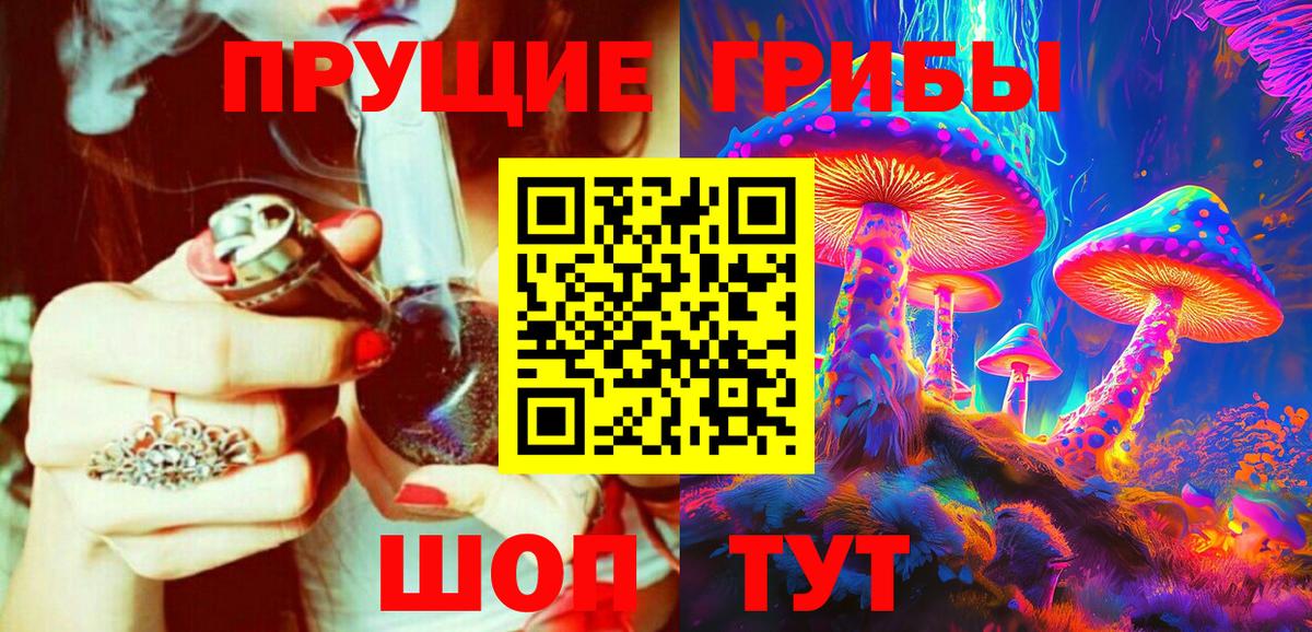 Псилоцибиновые грибы Psilocybine cubensis Балтийск