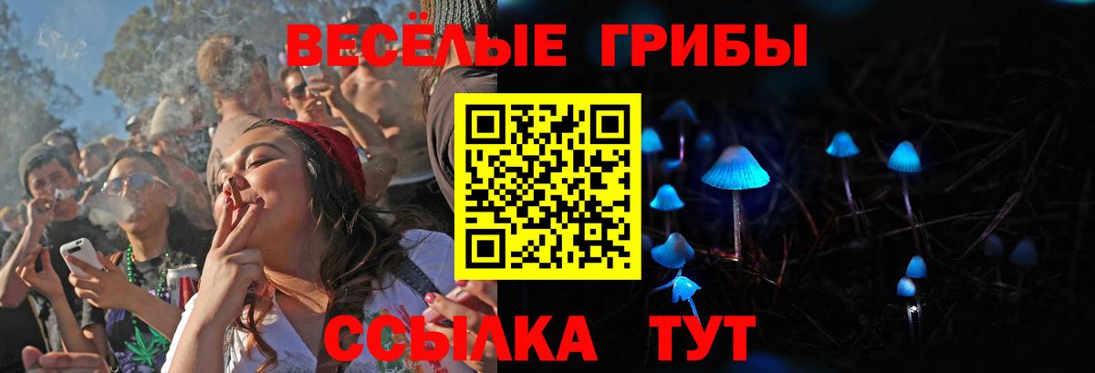 купить наркотик  Вход с VPN  Балтийск  Псилоцибиновые грибы мухоморы 